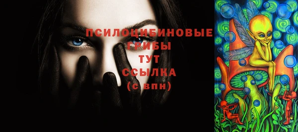 сатива Балахна