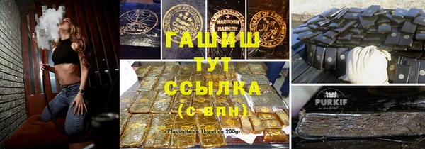 сатива Балахна