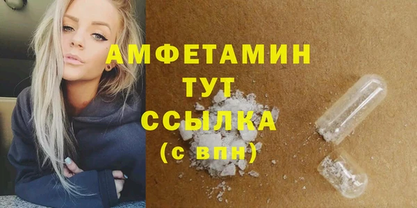 сатива Балахна